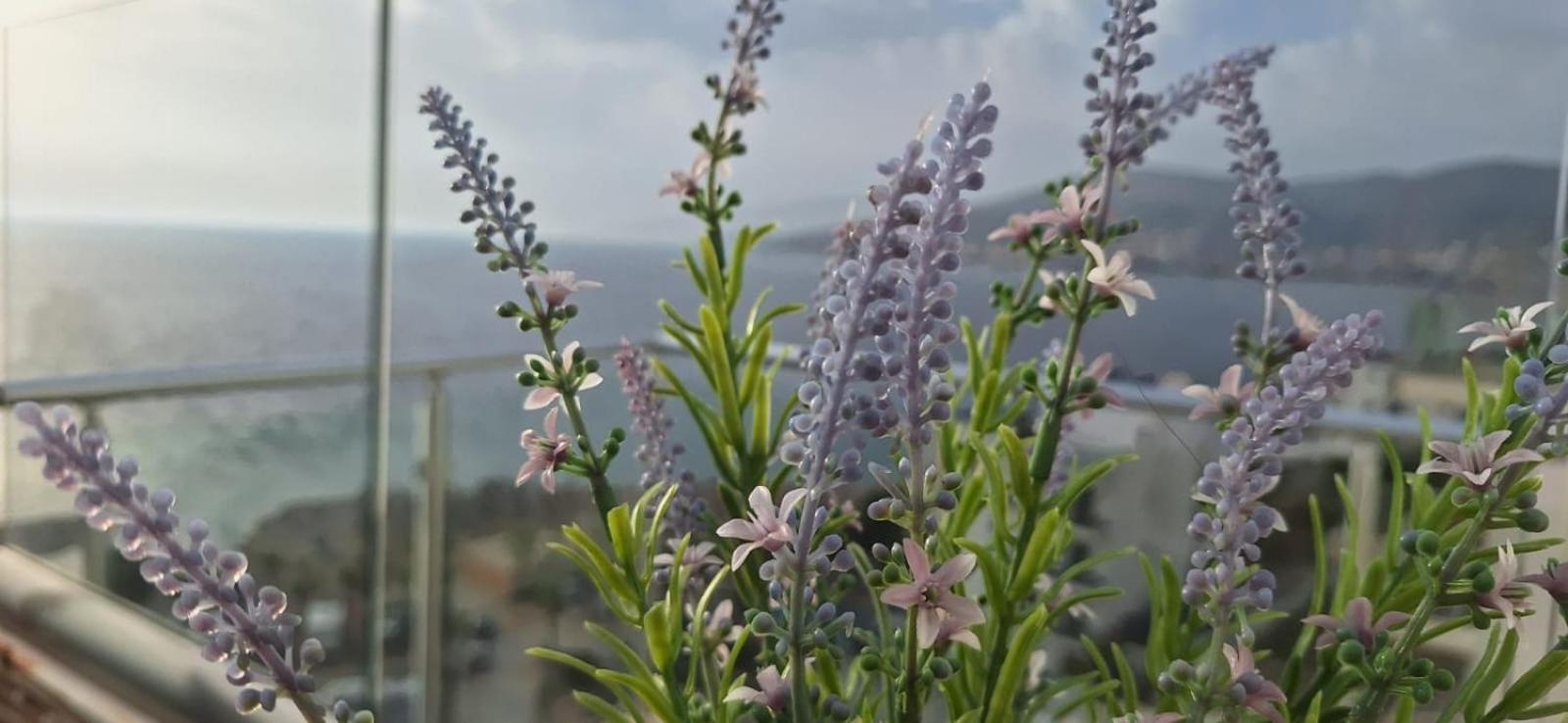 דירות Sadet'S Penthouse Saranda מראה חיצוני תמונה
